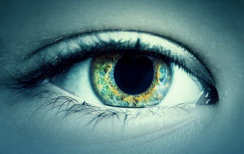Eye